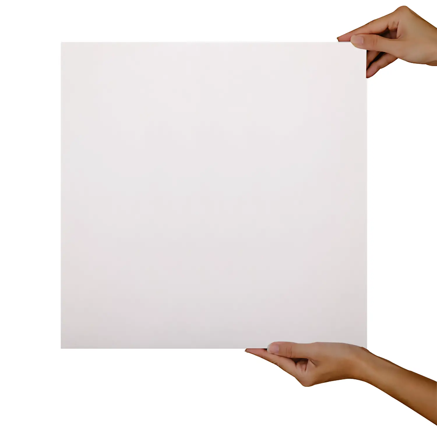 Carta Velina Bianco - 24 Fogli 50x70 cm - Carta e cartoncino