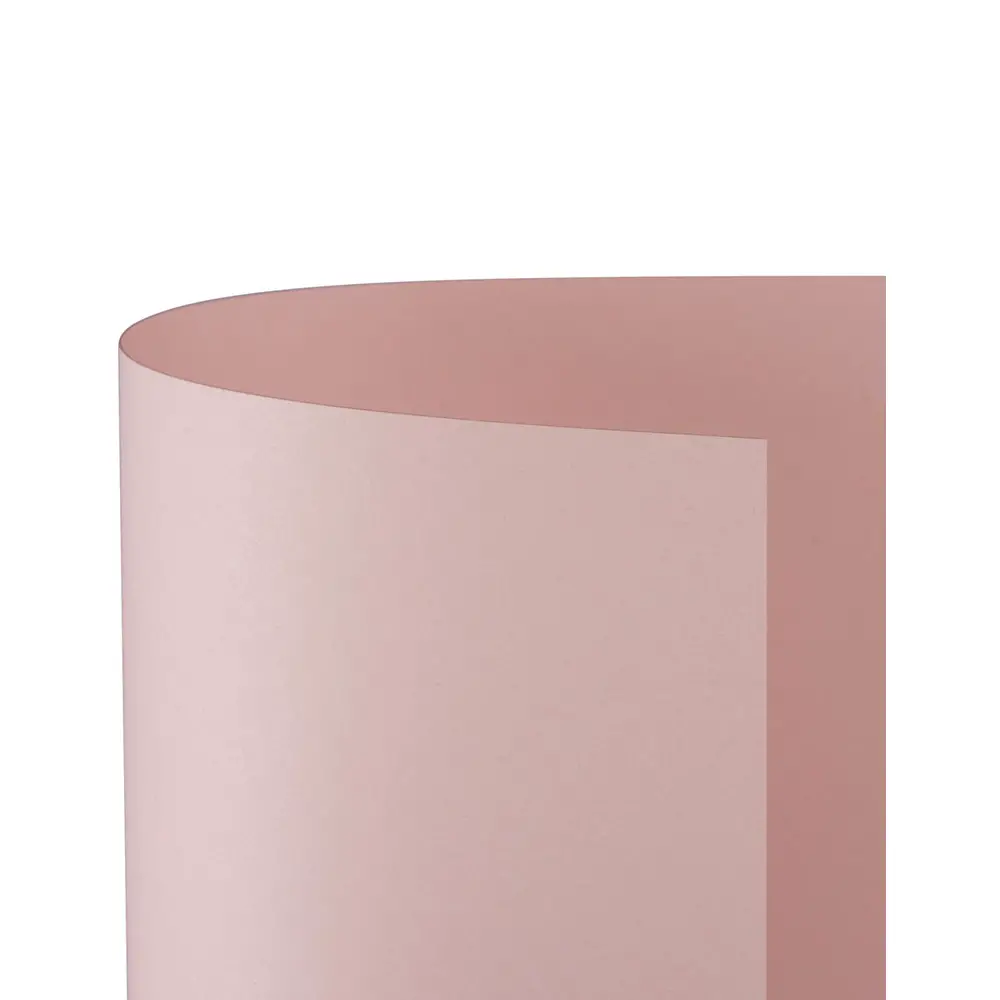 Cartoncino Bristol Liscio 200 gr - 25 Fogli 50x70 cm - Rosa - Carta e cartoncino