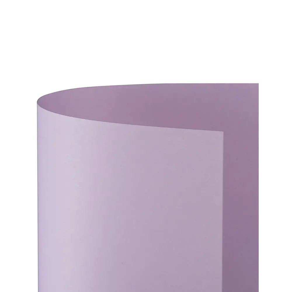 Cartoncino Bristol Liscio 200 gr - 25 Fogli 50x70 cm - Lilla - Carta e cartoncino