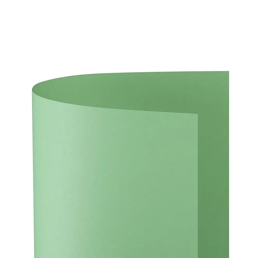 Cartoncino Bristol Liscio 200 gr - 25 Fogli 50x70 cm - Verde Chiaro - Carta e cartoncino