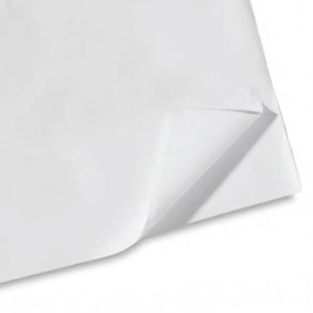 Carta Velina Giodicrea 50x70 24ff Bianco - Alta Qualità - Carta e cartoncino