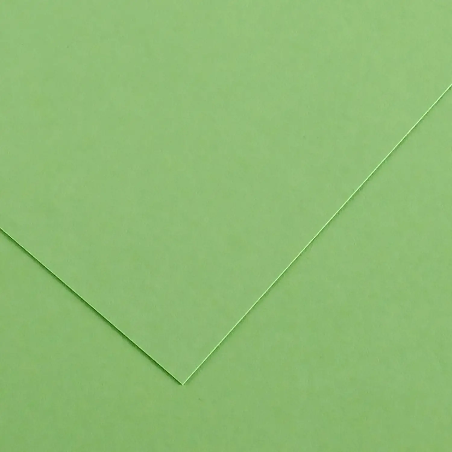Cartoncino Vivaldi Canson 185 g/m² - 50 Fogli A4 Verde Mela - Carta e cartoncino