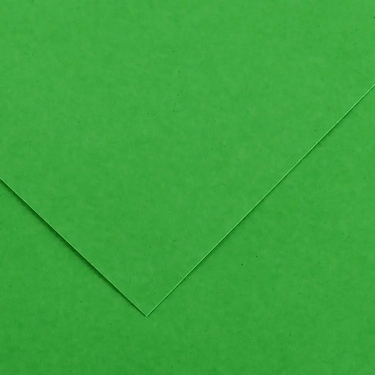Cartoncino Vivaldi Canson 185 Gmq 50 Fogli A3 Verde Brillante - Carta e cartoncino