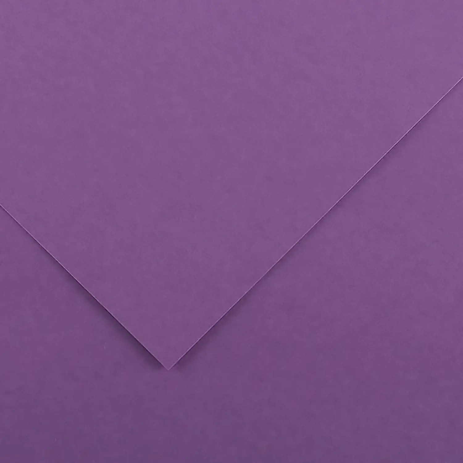 Cartoncino Vivaldi Canson 185 g/m² - 50 Fogli A3 Viola - Carta e cartoncino