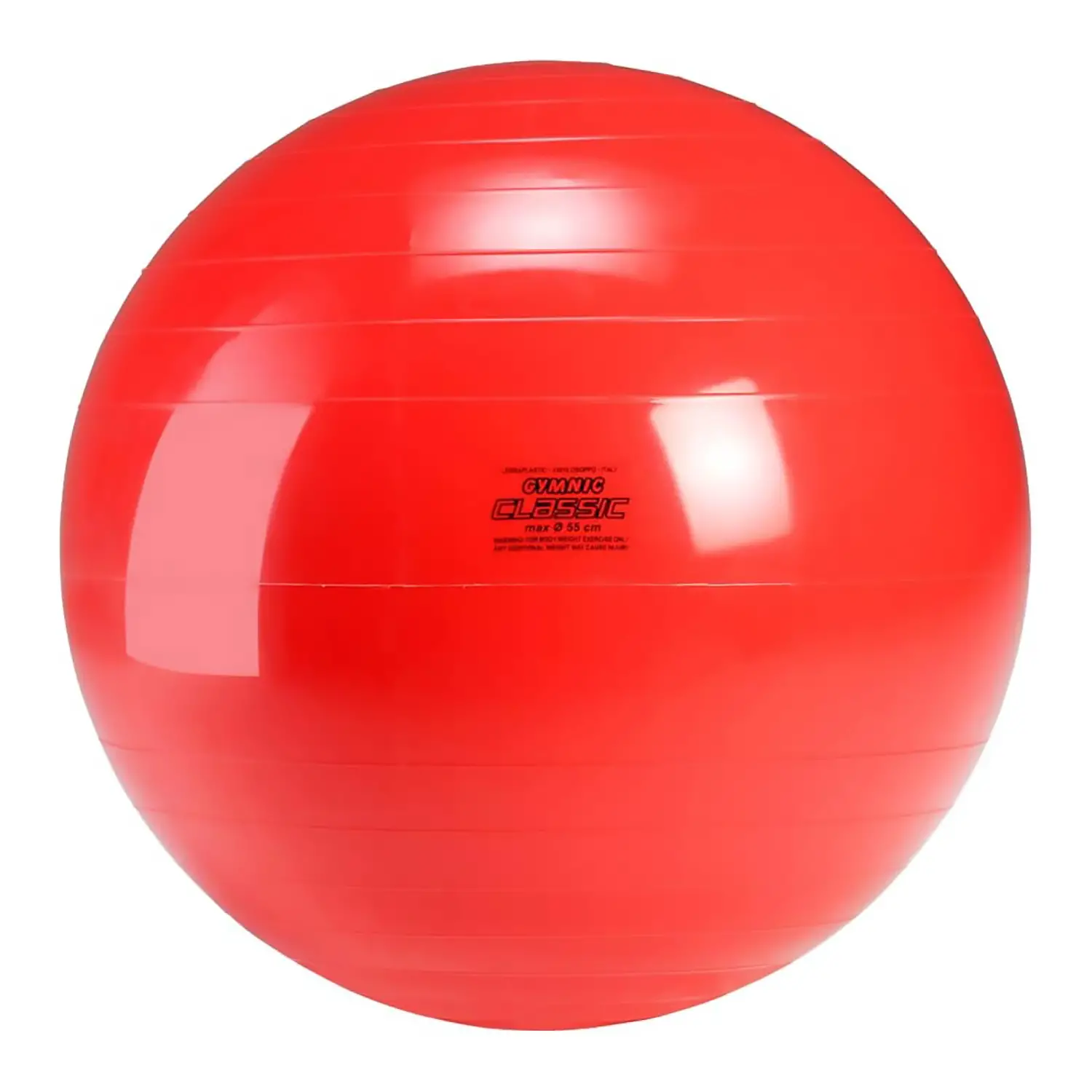 Grande Palla Gymnic Ball Ø 55 cm – Palla per Fisioterapia, Pilates e Riabilitazione - Palle e palloni