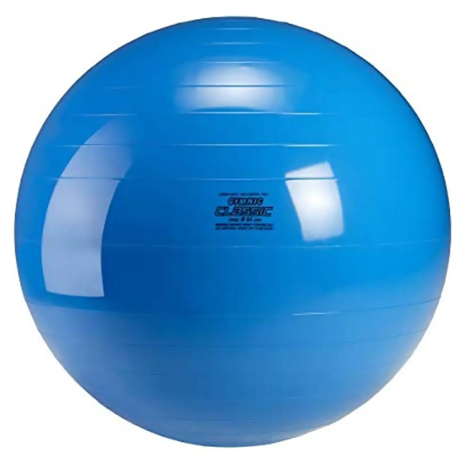 Palla per Psicomotricità Gymnic Ball Ø 65 cm – Palla Ginnastica, Pilates e Riabilitazione - Palle e palloni