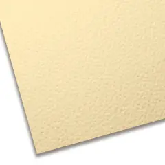 Cartoncino Colorato Premium Panna 50x70 cm – Liscio/Ruvido 220 gr