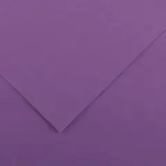 Cartoncino Vivaldi Canson 185 g/m² - 50 Fogli A4 Viola