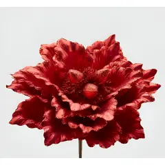 Magnolia Rossa Con Clip Per Decoro Natalizio